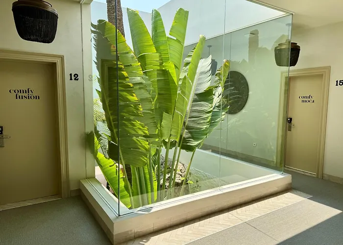 酒店 Comfy 贝纳尔马德纳